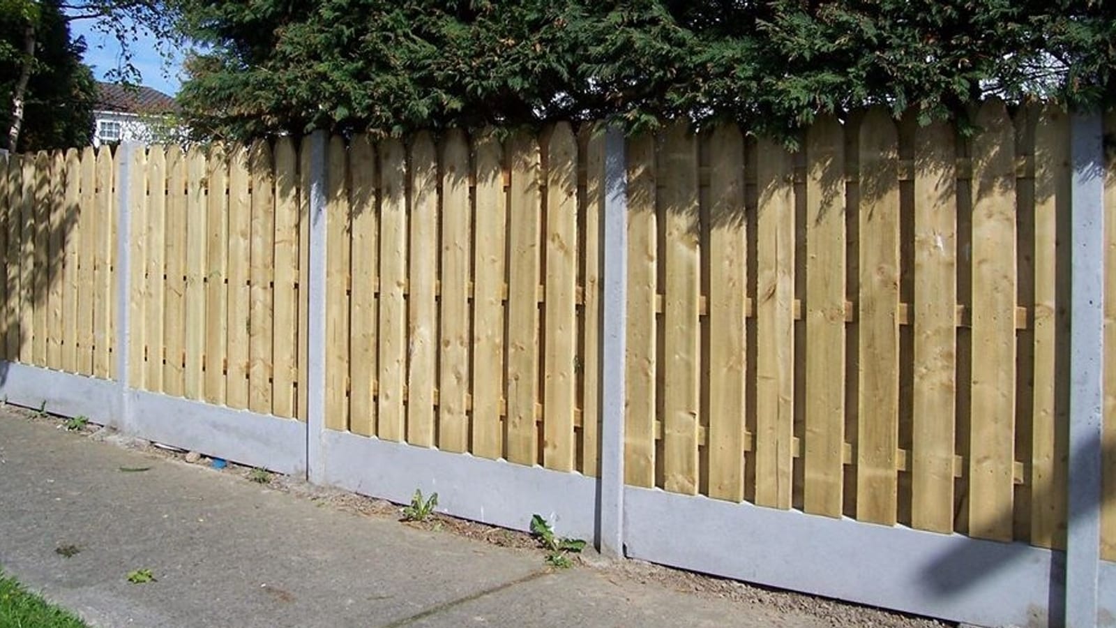 A new close-board timber fence in a garden